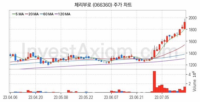 육계 관련주 체리부로 주식 종목의 분석 시점 기준 최근 일봉 차트