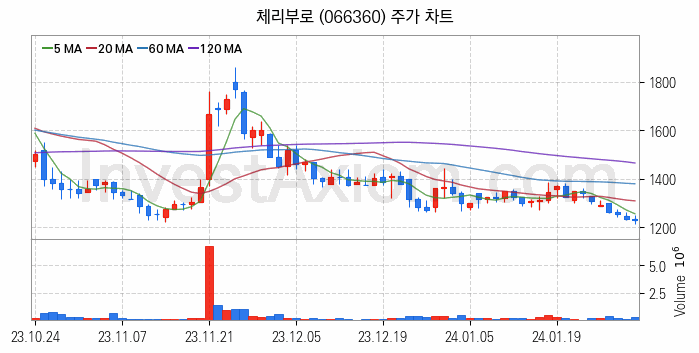 육계 관련주 체리부로 주식 종목의 분석 시점 기준 최근 일봉 차트