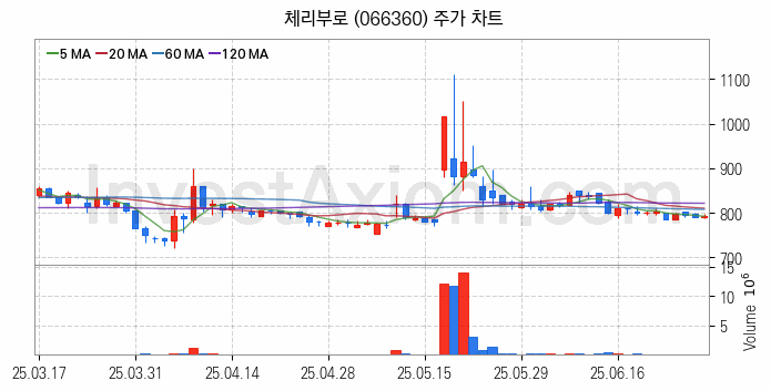 육계 관련주 체리부로 주식 종목의 분석 시점 기준 최근 일봉 차트