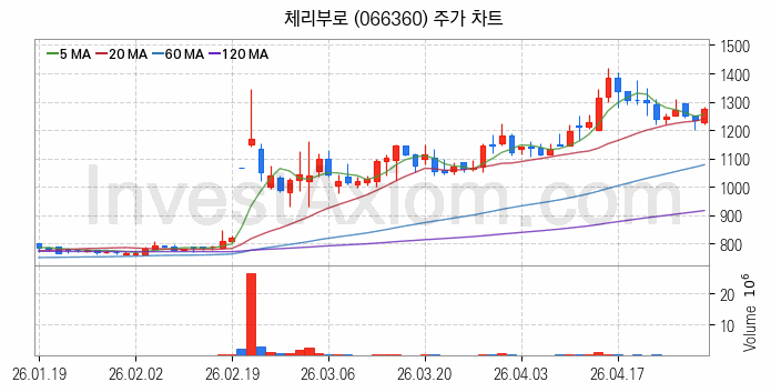 육계 관련주 체리부로 주식 종목의 분석 시점 기준 최근 일봉 차트