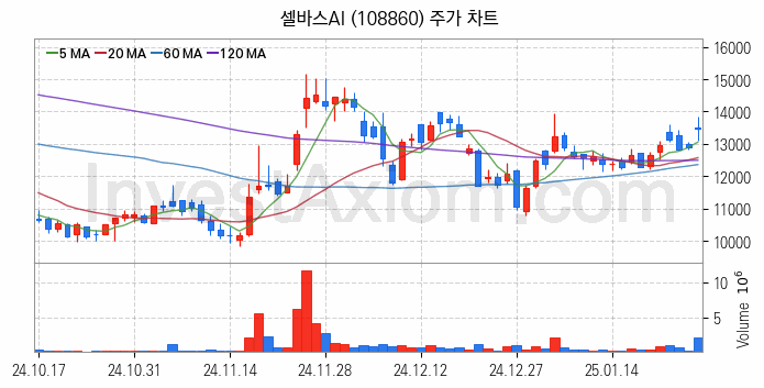 음성인식 관련주 셀바스AI 주식 종목의 분석 시점 기준 최근 일봉 차트