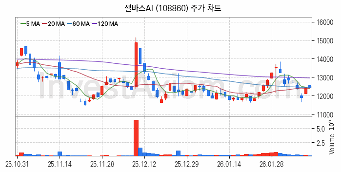 음성인식 관련주 셀바스AI 주식 종목의 분석 시점 기준 최근 일봉 차트