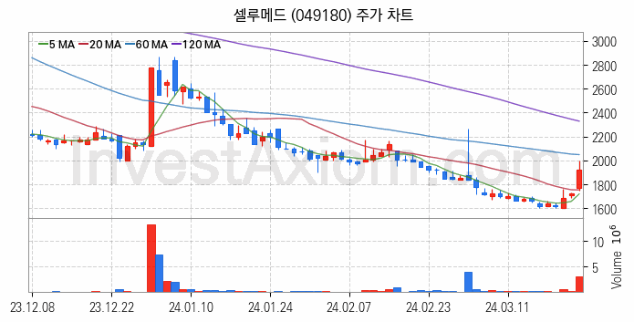 의료AI 관련주 셀루메드 주식 종목의 분석 시점 기준 최근 일봉 차트