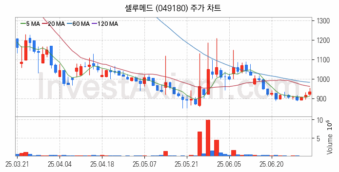 의료AI 관련주 셀루메드 주식 종목의 분석 시점 기준 최근 일봉 차트