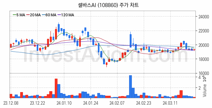 의료AI 관련주 셀바스AI 주식 종목의 분석 시점 기준 최근 일봉 차트