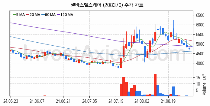 의료AI 관련주 셀바스헬스케어 주식 종목의 분석 시점 기준 최근 일봉 차트