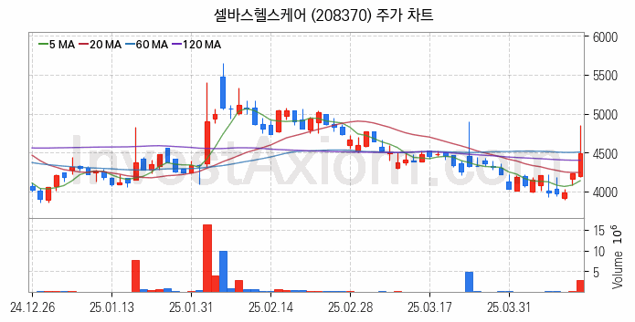 의료AI 관련주 셀바스헬스케어 주식 종목의 분석 시점 기준 최근 일봉 차트