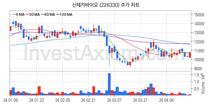 의료AI 관련주 신테카바이오 주식 종목의 분석 시점 기준 최근 일봉 차트