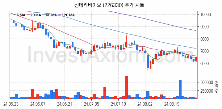 의료AI 관련주 신테카바이오 주식 종목의 분석 시점 기준 최근 일봉 차트