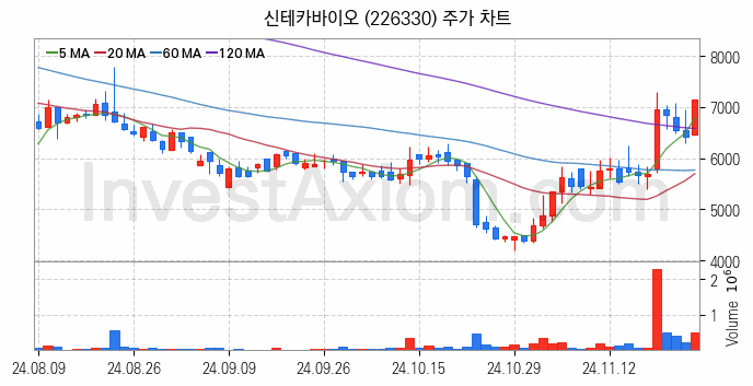 의료AI 관련주 신테카바이오 주식 종목의 분석 시점 기준 최근 일봉 차트