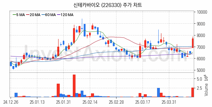 의료AI 관련주 신테카바이오 주식 종목의 분석 시점 기준 최근 일봉 차트
