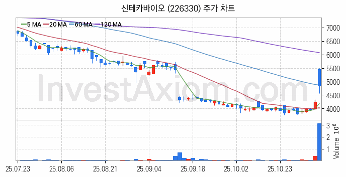 의료AI 관련주 신테카바이오 주식 종목의 분석 시점 기준 최근 일봉 차트