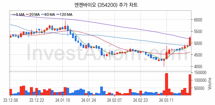 의료AI 관련주 엔젠바이오 주식 종목의 분석 시점 기준 최근 일봉 차트