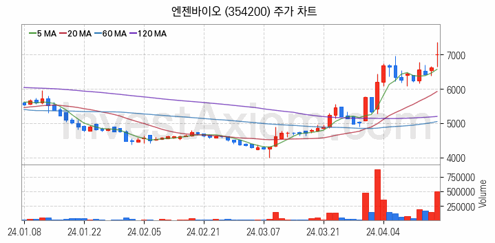 의료AI 관련주 엔젠바이오 주식 종목의 분석 시점 기준 최근 일봉 차트