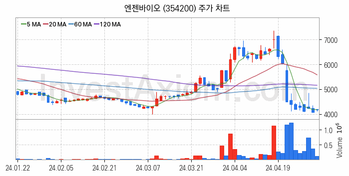 의료AI 관련주 엔젠바이오 주식 종목의 분석 시점 기준 최근 일봉 차트