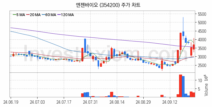 의료AI 관련주 엔젠바이오 주식 종목의 분석 시점 기준 최근 일봉 차트