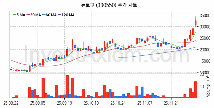 의료AI 관련주 뉴로핏 주식 종목의 분석 시점 기준 최근 일봉 차트