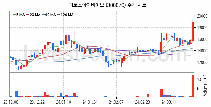 의료AI 관련주 파로스아이바이오 주식 종목의 분석 시점 기준 최근 일봉 차트