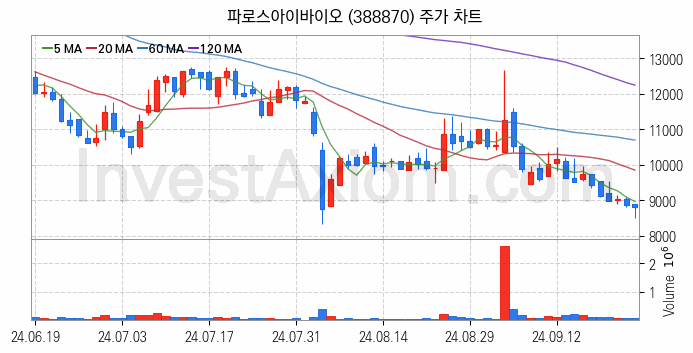 의료AI 관련주 파로스아이바이오 주식 종목의 분석 시점 기준 최근 일봉 차트