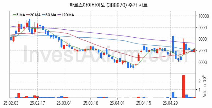 의료AI 관련주 파로스아이바이오 주식 종목의 분석 시점 기준 최근 일봉 차트