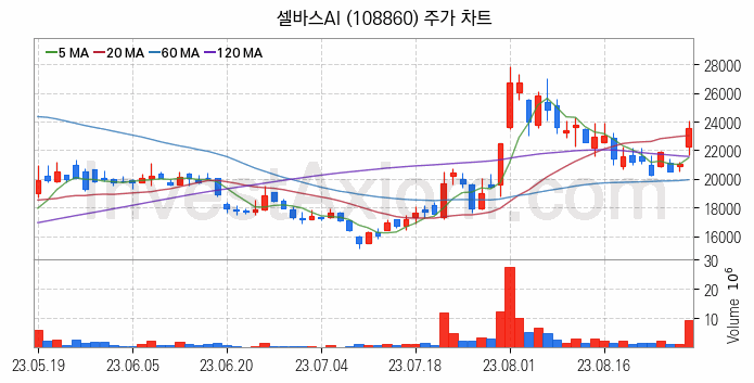 인공지능챗봇 ChatGPT 관련주 셀바스AI 주식 종목의 분석 시점 기준 최근 일봉 차트