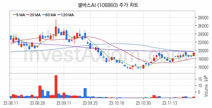 인공지능챗봇 ChatGPT 관련주 셀바스AI 주식 종목의 분석 시점 기준 최근 일봉 차트