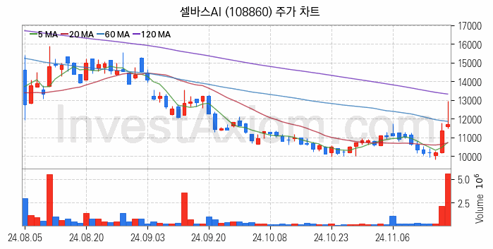 인공지능챗봇 ChatGPT 관련주 셀바스AI 주식 종목의 분석 시점 기준 최근 일봉 차트