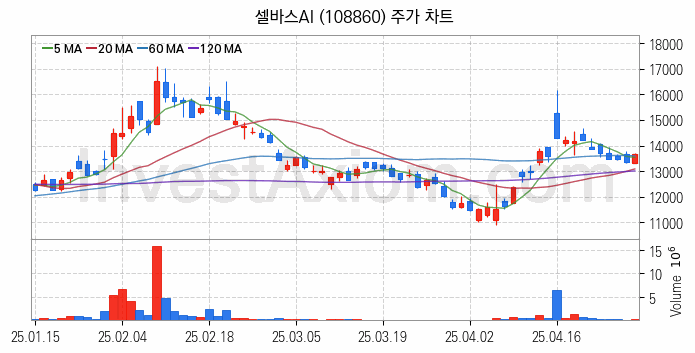 인공지능챗봇 ChatGPT 관련주 셀바스AI 주식 종목의 분석 시점 기준 최근 일봉 차트
