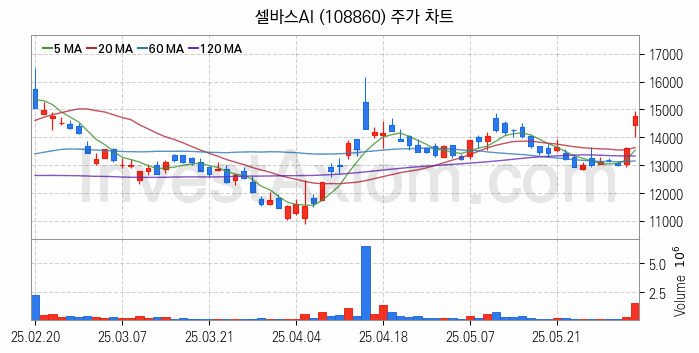 인공지능챗봇 ChatGPT 관련주 셀바스AI 주식 종목의 분석 시점 기준 최근 일봉 차트