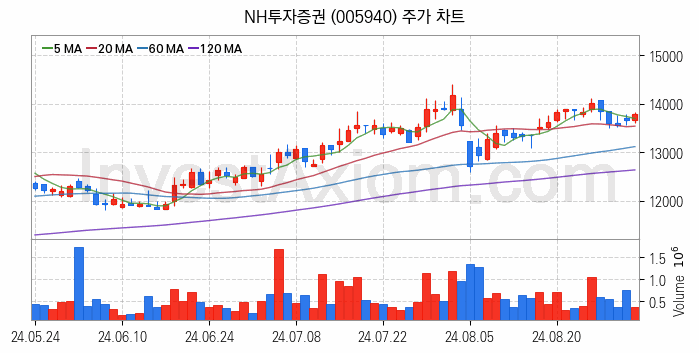 인터넷은행 관련주 NH투자증권 주식 종목의 분석 시점 기준 최근 일봉 차트