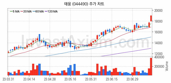 조선기자재 관련주 태웅 주식 종목의 분석 시점 기준 최근 일봉 차트