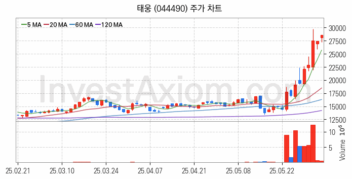 조선기자재 관련주 태웅 주식 종목의 분석 시점 기준 최근 일봉 차트