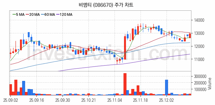 조선기자재 관련주 비엠티 주식 종목의 분석 시점 기준 최근 일봉 차트