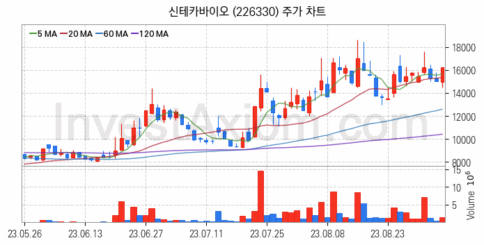 지능형로봇 인공지능AI 관련주 신테카바이오 주식 종목의 분석 시점 기준 최근 일봉 차트