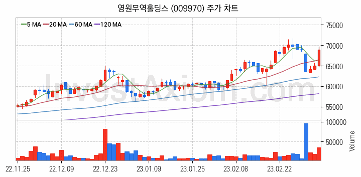 지주사 관련주 영원무역홀딩스 주식 종목의 분석 시점 기준 최근 일봉 차트