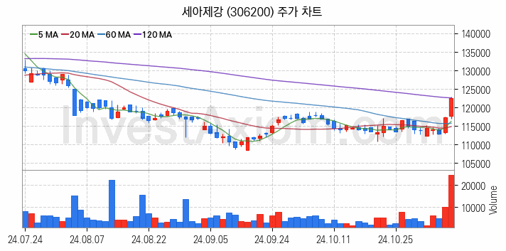 철강 관련주 세아제강 주식 종목의 분석 시점 기준 최근 일봉 차트