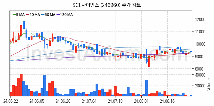 크래프톤 관련주 SCL사이언스 주식 종목의 분석 시점 기준 최근 일봉 차트