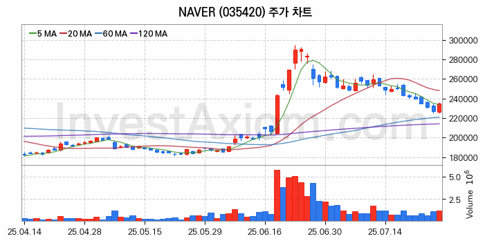 클라우드 컴퓨팅 관련주 NAVER 주식 종목의 분석 시점 기준 최근 일봉 차트