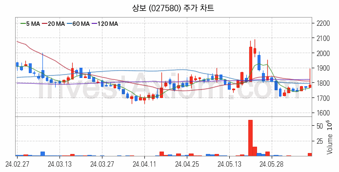 탄소나노튜브 관련주 상보 주식 종목의 분석 시점 기준 최근 일봉 차트