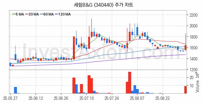 탈 플라스틱 관련주 세림B&G 주식 종목의 분석 시점 기준 최근 일봉 차트