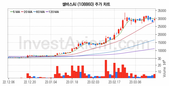 태블릿PC 관련주 셀바스AI 주식 종목의 분석 시점 기준 최근 일봉 차트