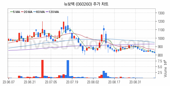 태풍 장마 관련주 뉴보텍 주식 종목의 분석 시점 기준 최근 일봉 차트