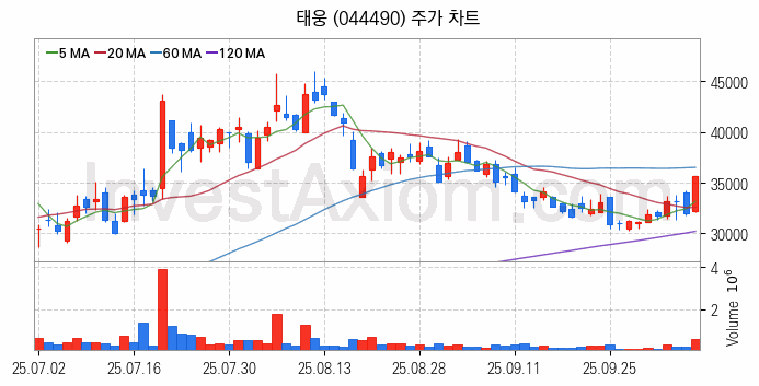 풍력에너지 관련주 태웅 주식 종목의 분석 시점 기준 최근 일봉 차트