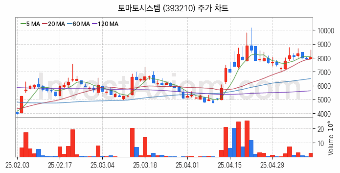 퓨리오사AI 관련주 토마토시스템 주식 종목의 분석 시점 기준 최근 일봉 차트