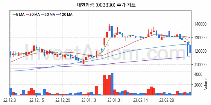 화학섬유 관련주 대한화섬 주식 종목의 분석 시점 기준 최근 일봉 차트