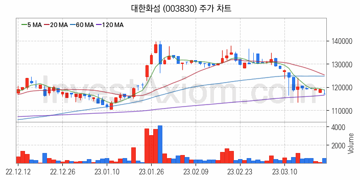 화학섬유 관련주 대한화섬 주식 종목의 분석 시점 기준 최근 일봉 차트