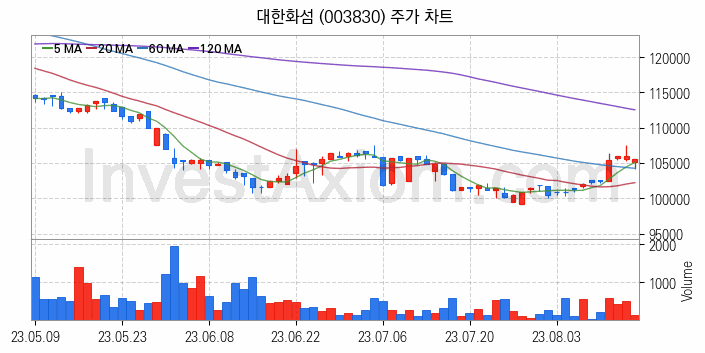 화학섬유 관련주 대한화섬 주식 종목의 분석 시점 기준 최근 일봉 차트