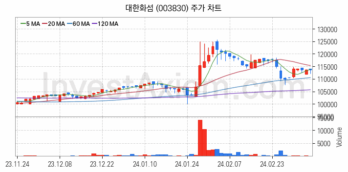 화학섬유 관련주 대한화섬 주식 종목의 분석 시점 기준 최근 일봉 차트