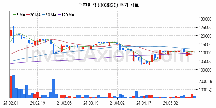 화학섬유 관련주 대한화섬 주식 종목의 분석 시점 기준 최근 일봉 차트