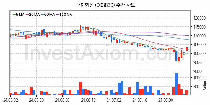 화학섬유 관련주 대한화섬 주식 종목의 분석 시점 기준 최근 일봉 차트